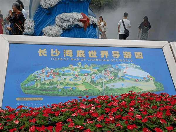 长沙海底世界游玩攻略(长沙海底世界值得去吗)