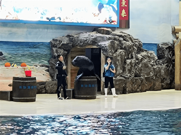 长沙海底世界游玩攻略(长沙海底世界值得去吗)
