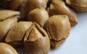 ​苦杏仁和甜杏仁的区别 食用过量对人体产生危害