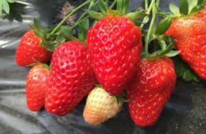 ​20个保存食物的小妙招 保证让你受用无穷