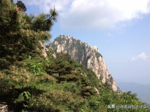 ​黄山北站怎么去黄山景区(黄山北站到黄山风景区有多远)
