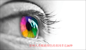 ​为什么人的眼睛有不同颜色(各种眼睛颜色的人口比例是多少)