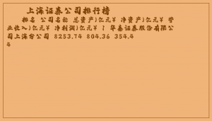 ​上海证券公司排行榜