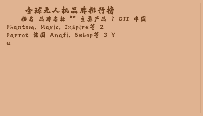 全球无人机品牌排行榜