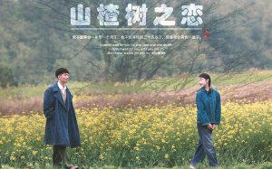 ​看了促进感情的电影(促进情侣感情的电影推荐)