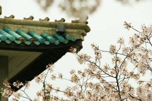 ​武汉室外游玩景点推荐
