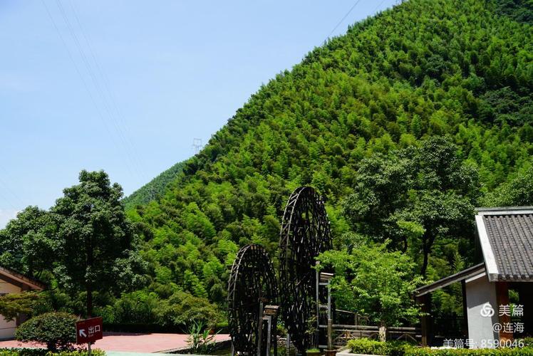 4、安吉天荒坪竹海旅游度假区