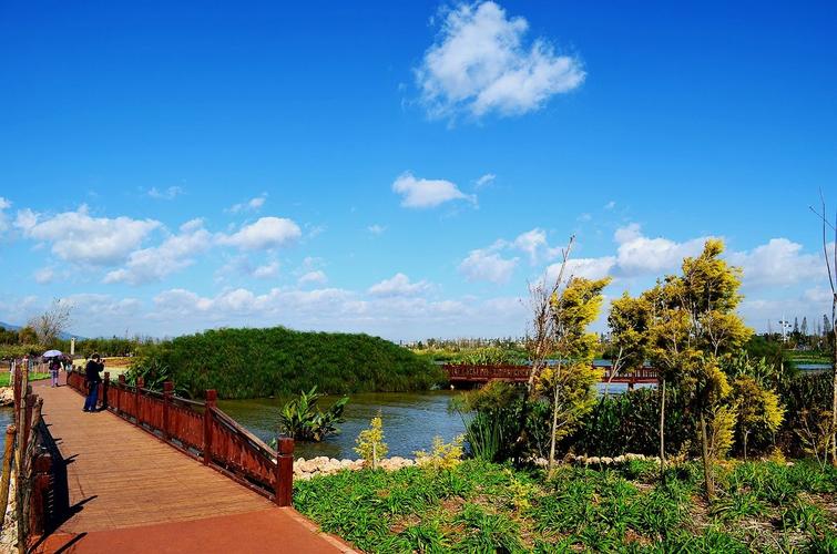 3、滇池湿地公园