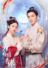 ​《为有暗香来》是哪个小说改编 家主是谁？原著结局是什么？