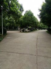​湖南长沙民政学院是几本？湖南长沙民政学院全国排第几