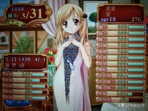 ​美少女梦工厂4王子攻略（培养美梦工厂4全属性模特女儿攻略）