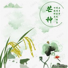 ​有芒作物有哪些(什么是有芒的谷物)