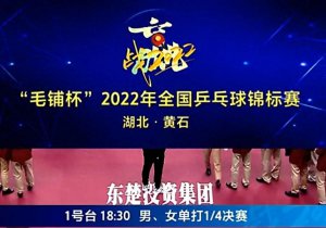 ​孙铭阳是哪里人？淘汰孙颖莎冲击两枚奖牌？林高远冲三金？