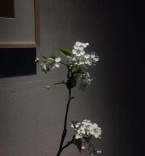 ​悬疑小说‖第四种杀死她的理由（下）