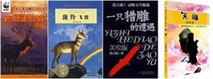 ​娌堢煶婧殑灏忚鍒板簳鎬庝箞鏍凤紵 鈹?鍚鑰呰