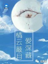 ​推荐小说《情云蔽月爱深藏》
