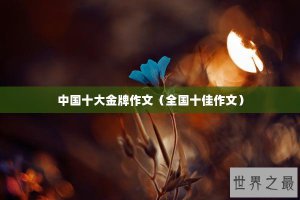 ​中国十大金牌作文（全国十佳作文）