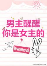 ​主角穿成女配的小说合集 - 当女主成为女配，会怎样反转呢