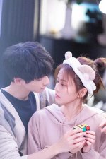 ​半是蜜糖半是伤（小说）