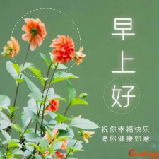 ​早安心语每日一语励志 早安心语每日一语正能量