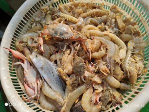 ​沧州旅游哪里去？黄骅港来看海！