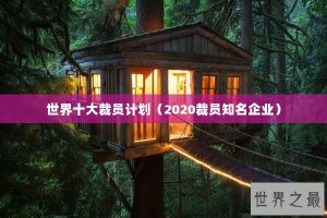 ​世界十大裁员计划（2020裁员知名企业）