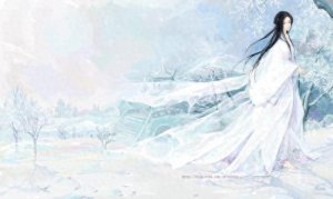 ​推荐类似《知否知否应知绿肥红瘦》的宅斗小说！良辰美景须有时