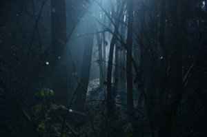 ​小说：红包群中出现死亡游戏，接连死去两名学生后，人们终于害怕