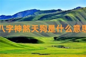 ​八字天狗煞是什么意思