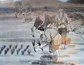 ​周末一起来看几本休闲的种田文小说减压吧