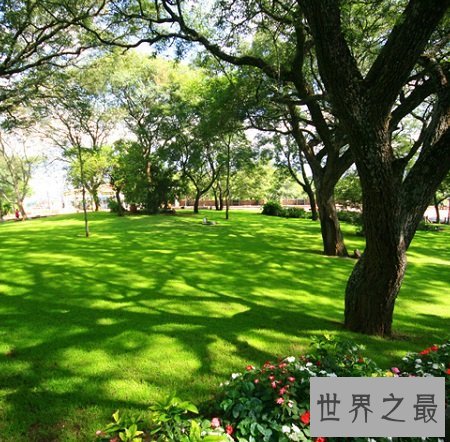 世界上最美的国家排名，挪威北极光也称不上美丽