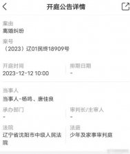 ​杨鸣唐佳良离婚案12月12日开庭 小三疑怀孕态度嚣张撕原配