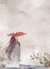 ​明月珰古言小说集