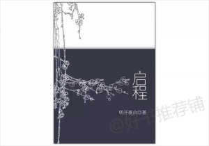 ​5本养成小说：大叔我爱你！都是现言的