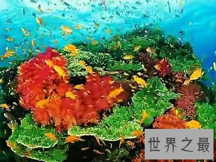 全球十大海上冬日巡游目的地，带你领略不同的夏威夷风情。