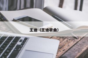 ​王迪（王迪歌曲）