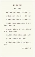 ​古代言情小说《宫斗存档有点卡》《皇后每天都喂朕情话》，nice