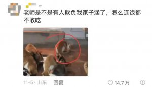 ​成千上万个“子涵”突然刷屏评论区！什么梗？