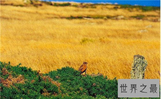 世界上人口密度最小的国家，格陵兰岛每平方公里不到1人