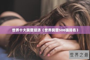 ​世界十大民营经济（世界民营500强排名）