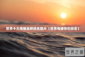 ​世界十大母猪品种排名图片（世界母猪存栏排名）