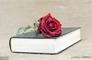 ​100本经典必读的言情小说，哪些年你追过的小说是否上榜了？