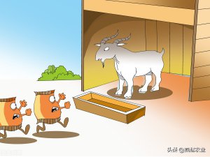 ​瘦肉精对  有哪些危害（“瘦肉精”是什么？它对人体有什么危害？又怎么辨别）