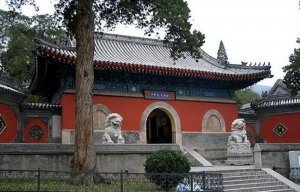 ​辽宁一寺庙内只有女性，日睡4小时吃一餐，还禁止香客捐钱