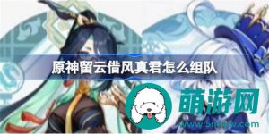 原神留云借风真君最佳阵容搭配方案是什么-原神留云借风真君的阵容最佳搭配方案一览