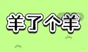 羊了个羊1月29日通关攻略完整版