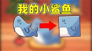 我的小鲨鱼全结局完成攻略