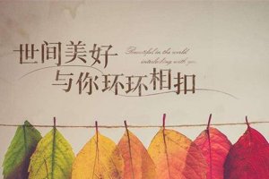 抖音最火歌曲排行榜前十