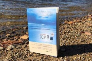 清华大学必读四本书