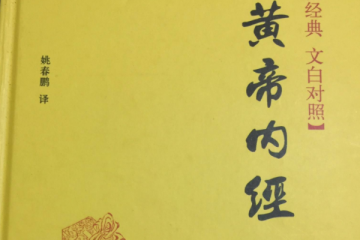 中国传统医学四大名著